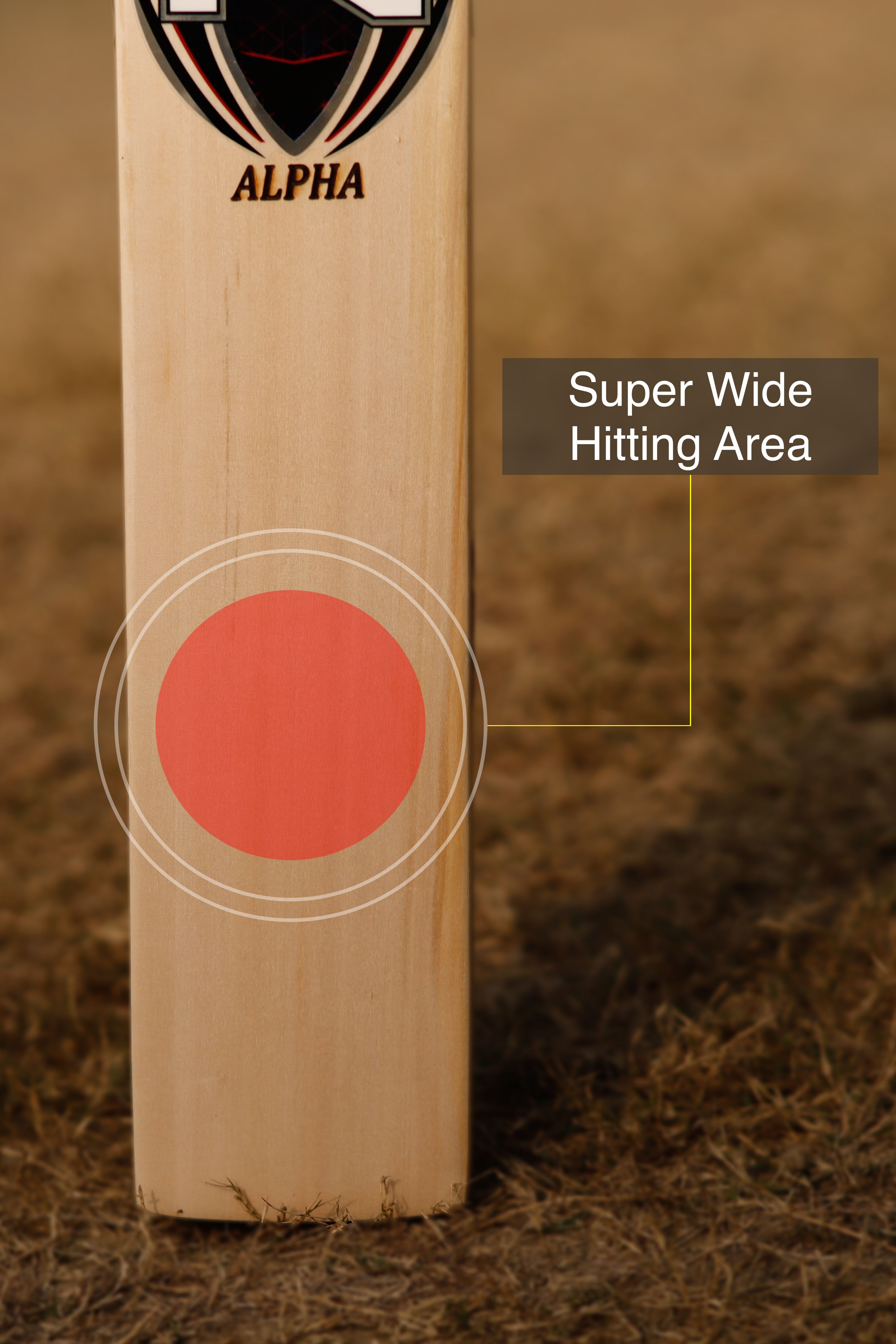 ZAP Alpha Kashmir Willow Cricket Bat