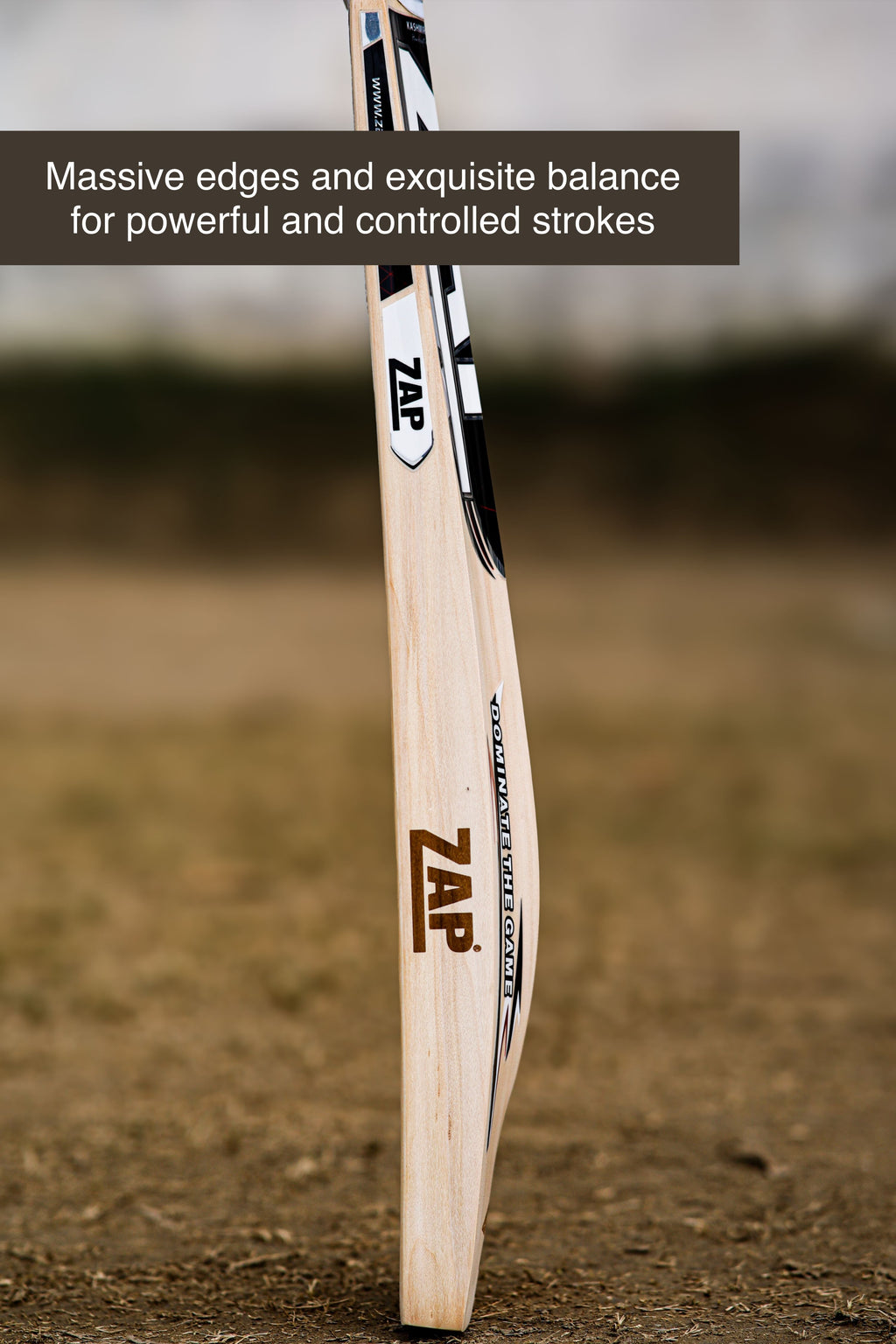 ZAP Alpha Kashmir Willow Cricket Bat
