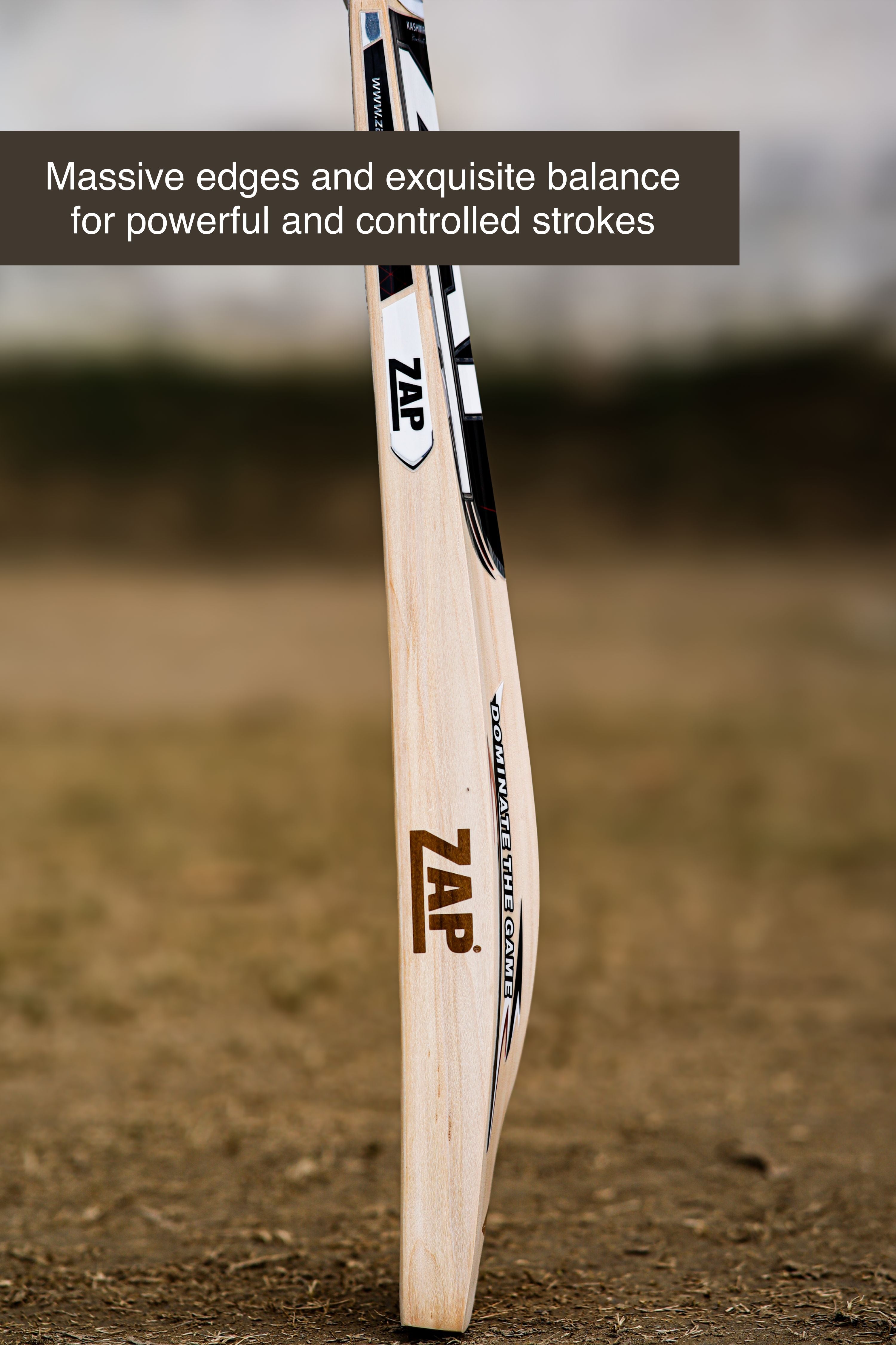 ZAP Alpha Kashmir Willow Cricket Bat