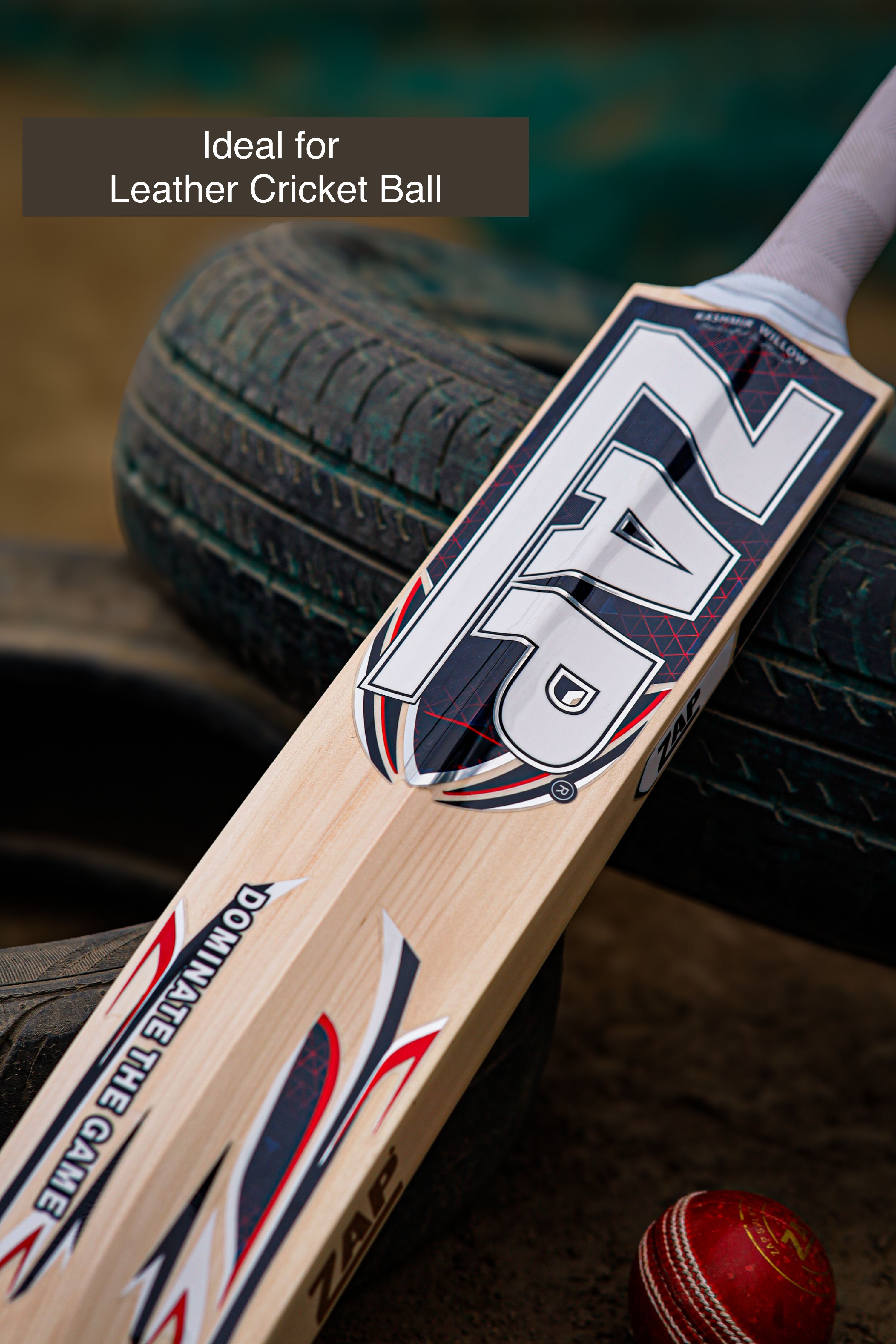 ZAP Alpha Kashmir Willow Cricket Bat