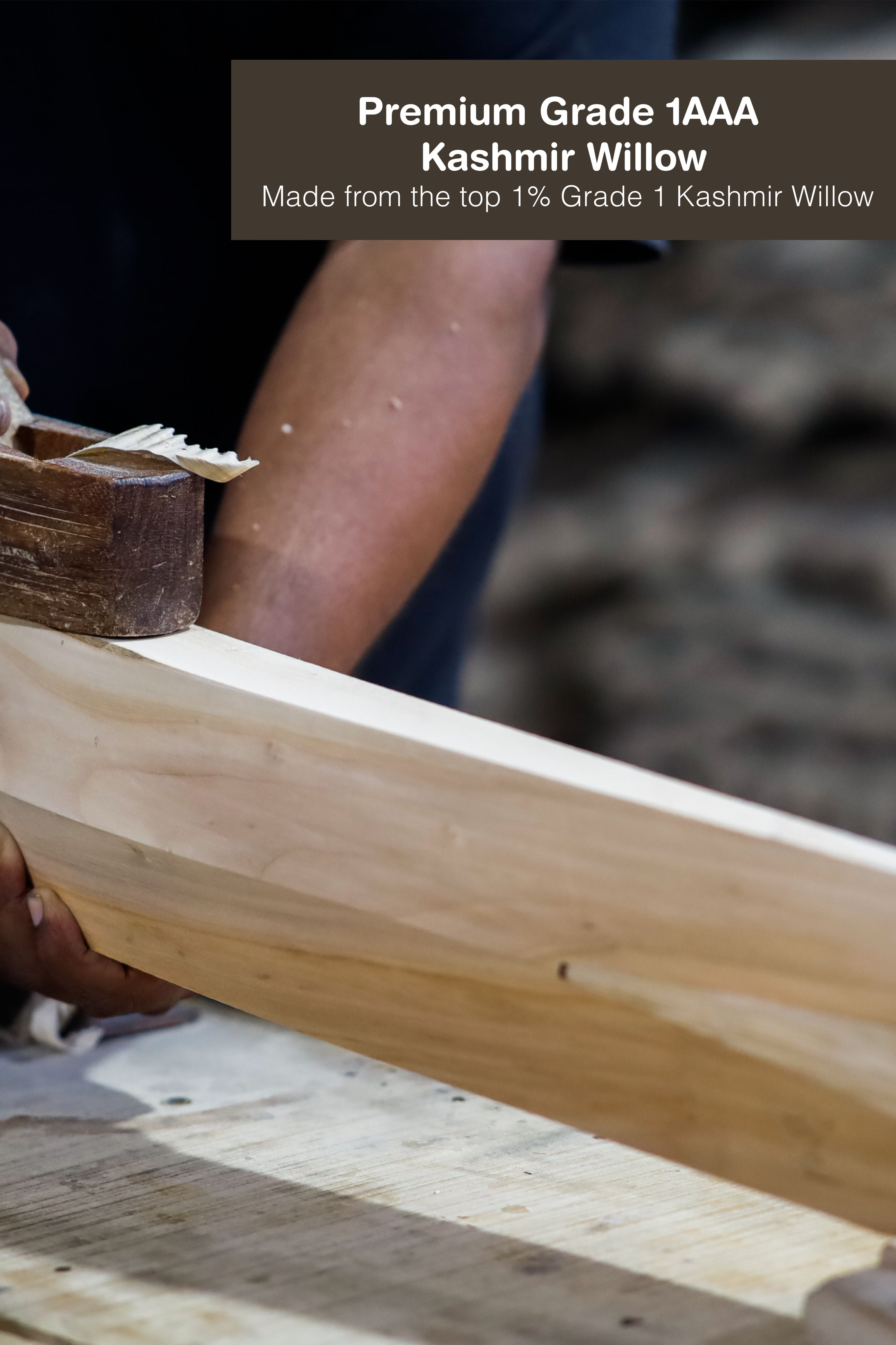 ZAP Alpha Kashmir Willow Cricket Bat