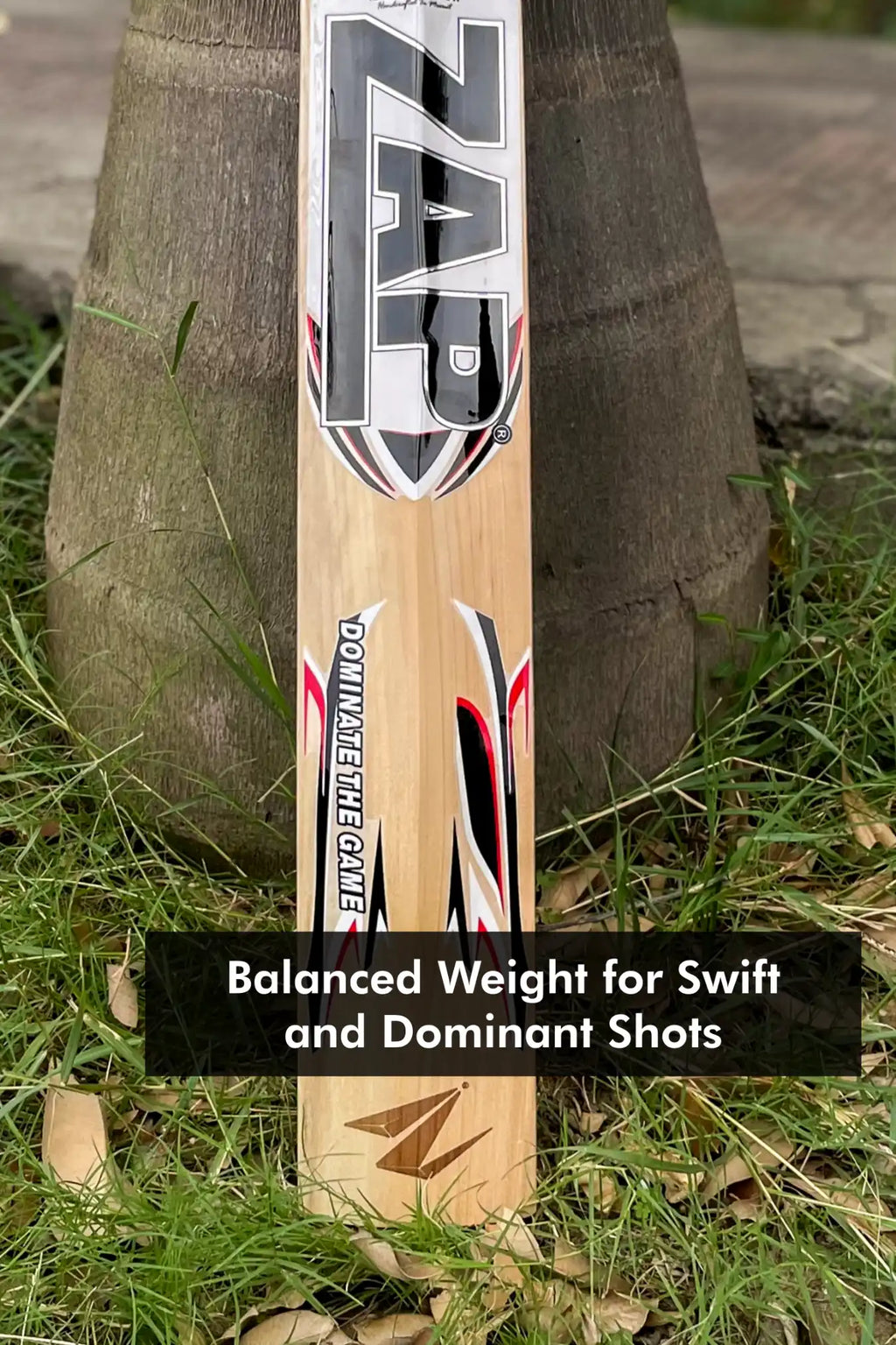 ZAP Alpha Kashmir Willow Cricket Bat (White)