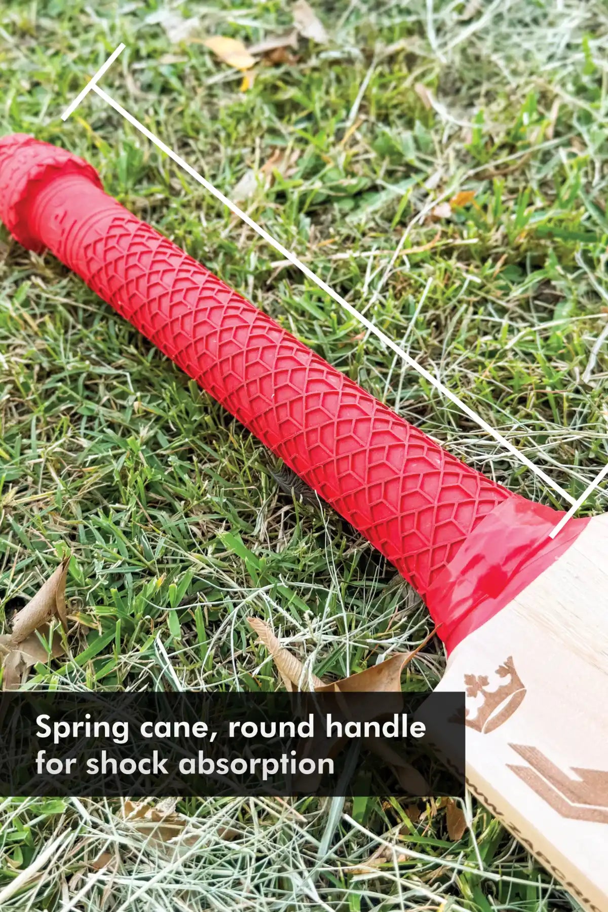 ZAP Signature Rare Edition 2.0 Premium Willow Bat