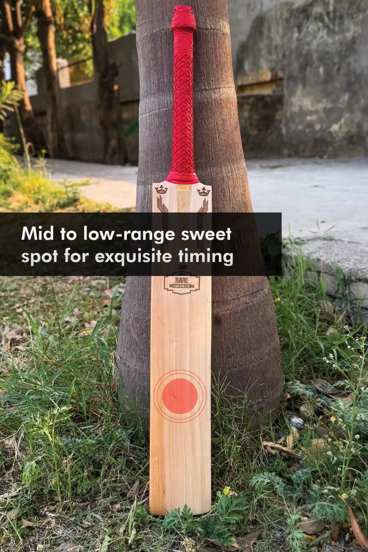 ZAP Signature Rare Edition 2.0 Premium Willow Bat