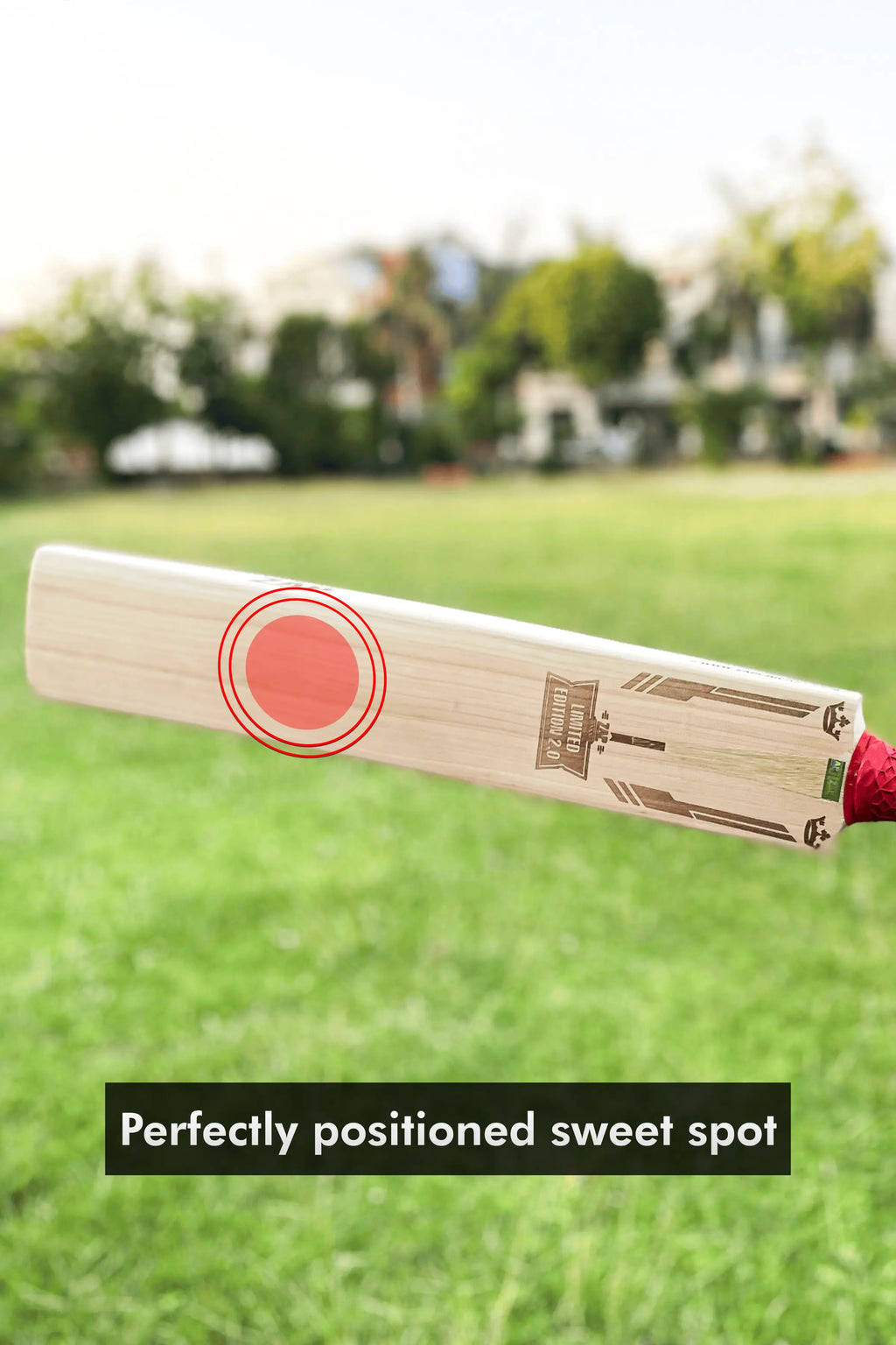 ZAP Signature Limited Edition 2.0 Premium Willow Bat