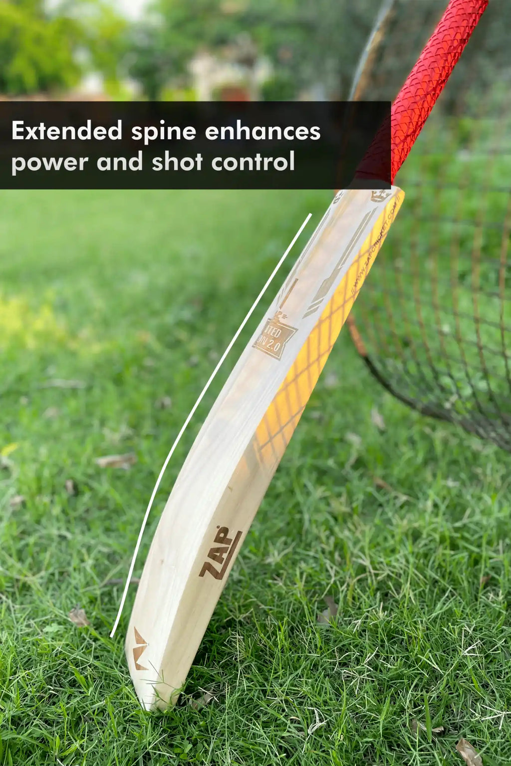 ZAP Signature Limited Edition 2.0 Premium Willow Bat