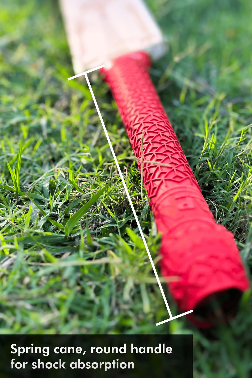 ZAP Signature Limited Edition 2.0 Premium Willow Bat