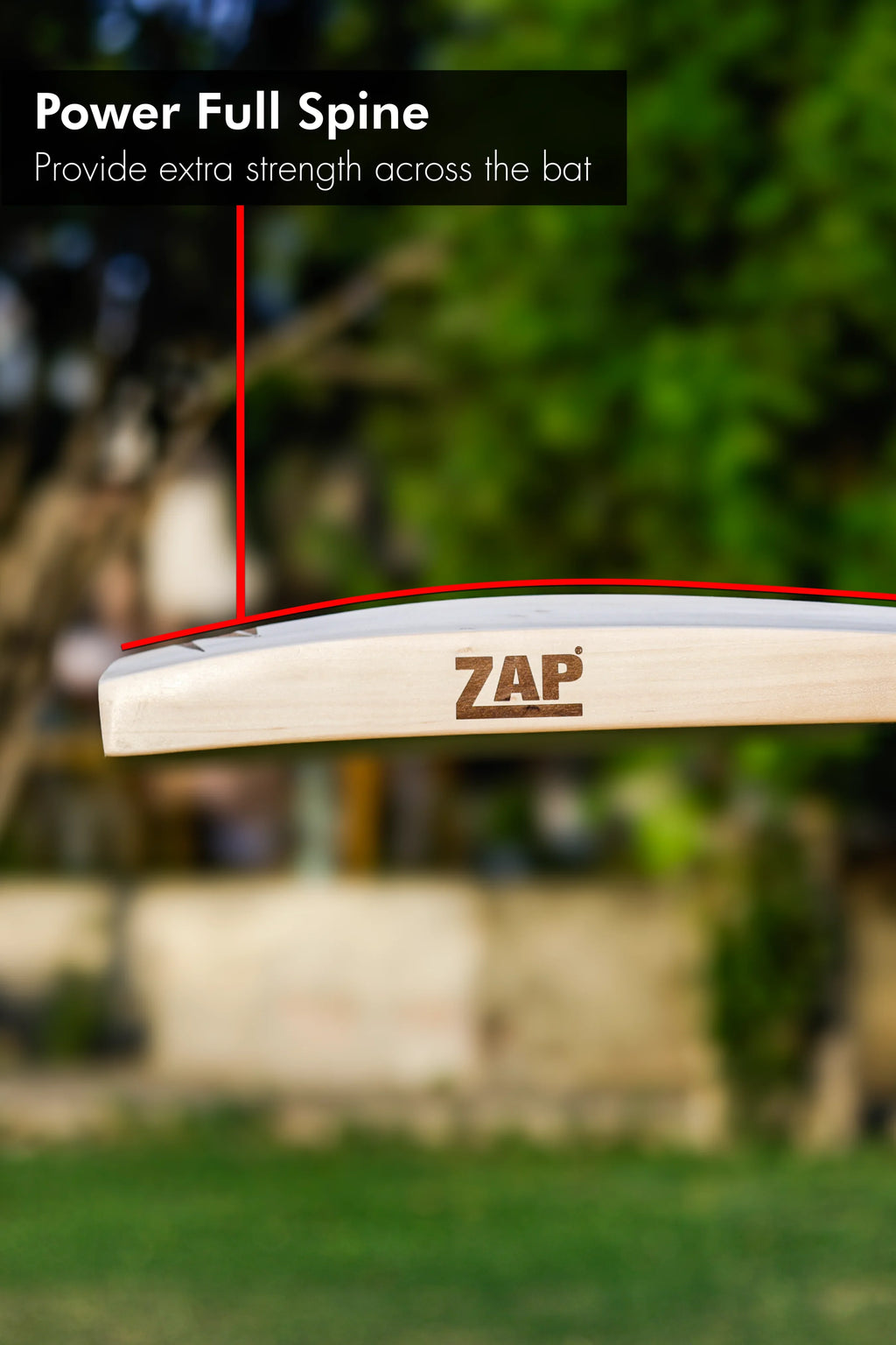 ZAP Signature Power 2000 Premium Willow Bat