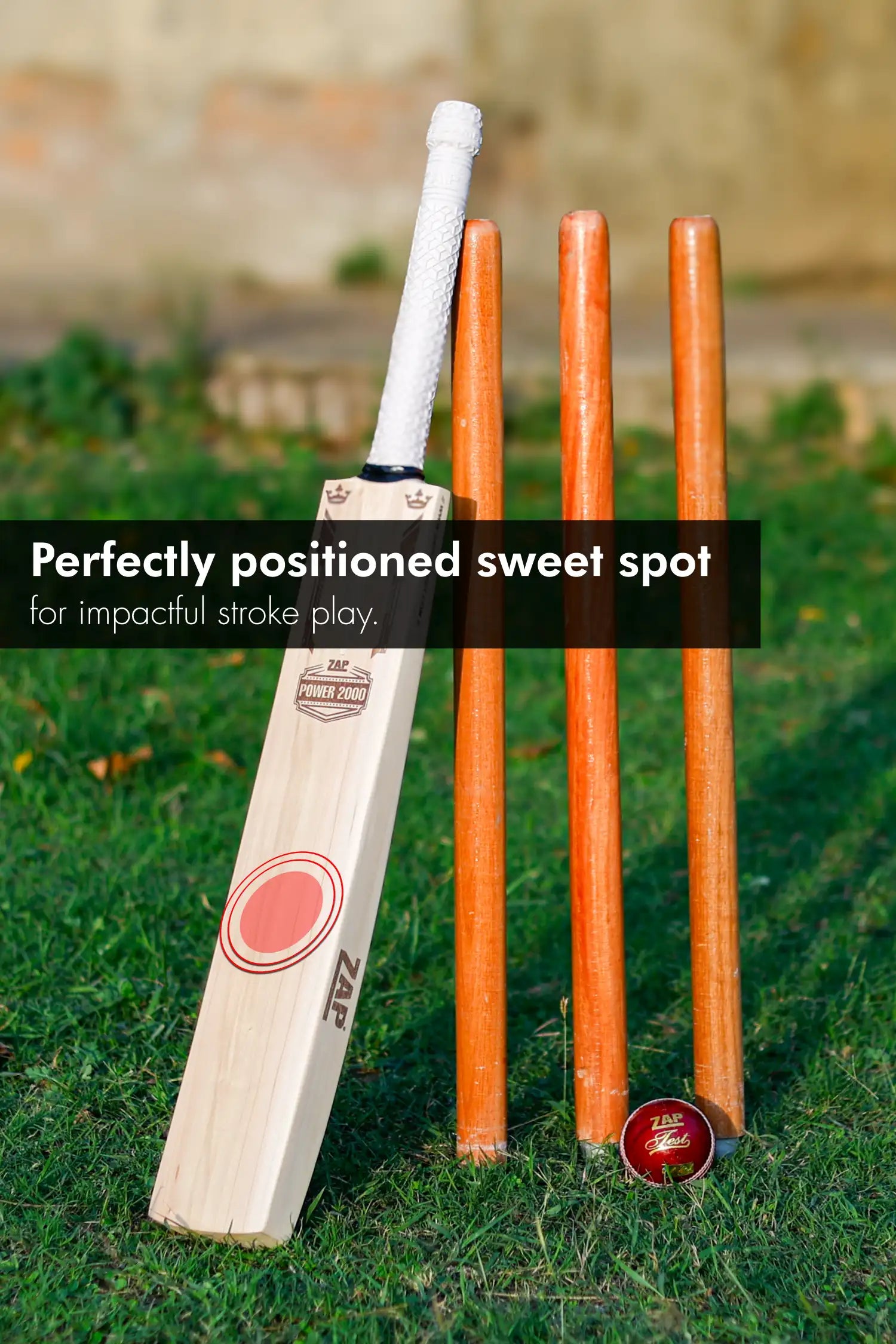 ZAP Signature Power 2000 Premium Willow Bat