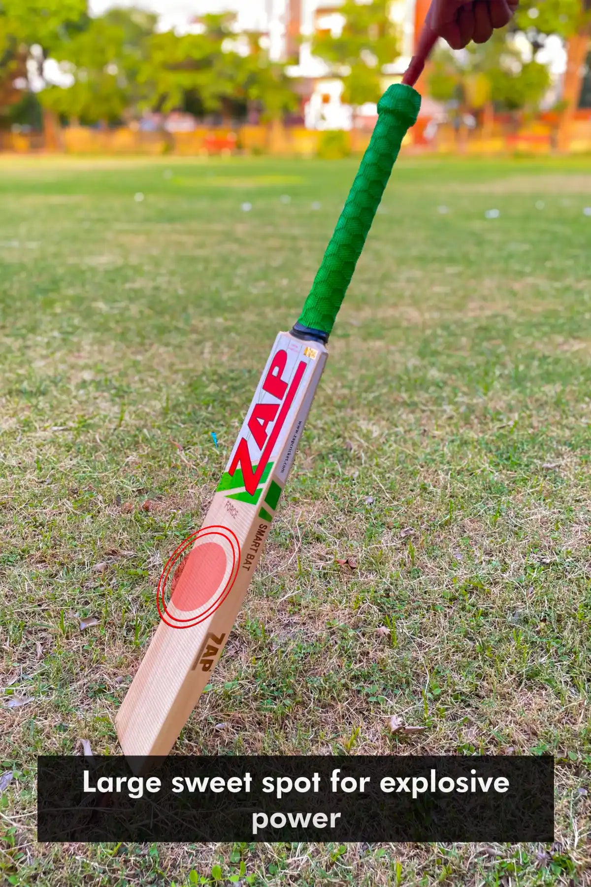 ZAP Force Smart English Willow Bat
