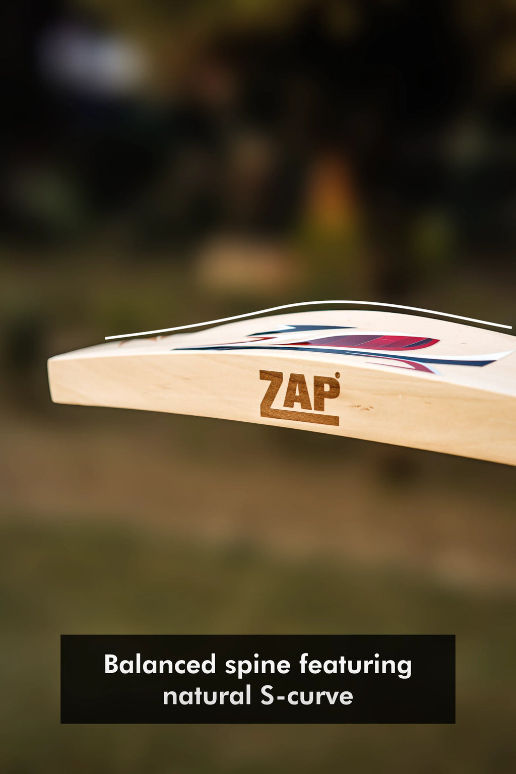 ZAP Besto Kashmir Willow Bat