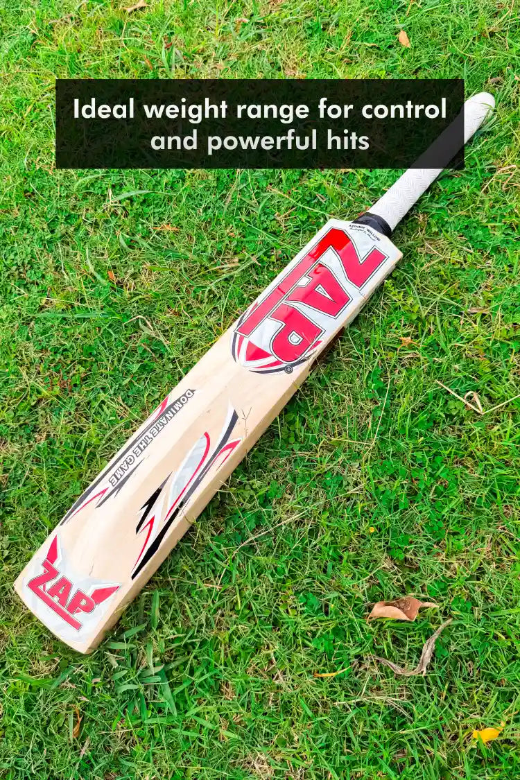ZAP Besto Kashmir Willow Bat