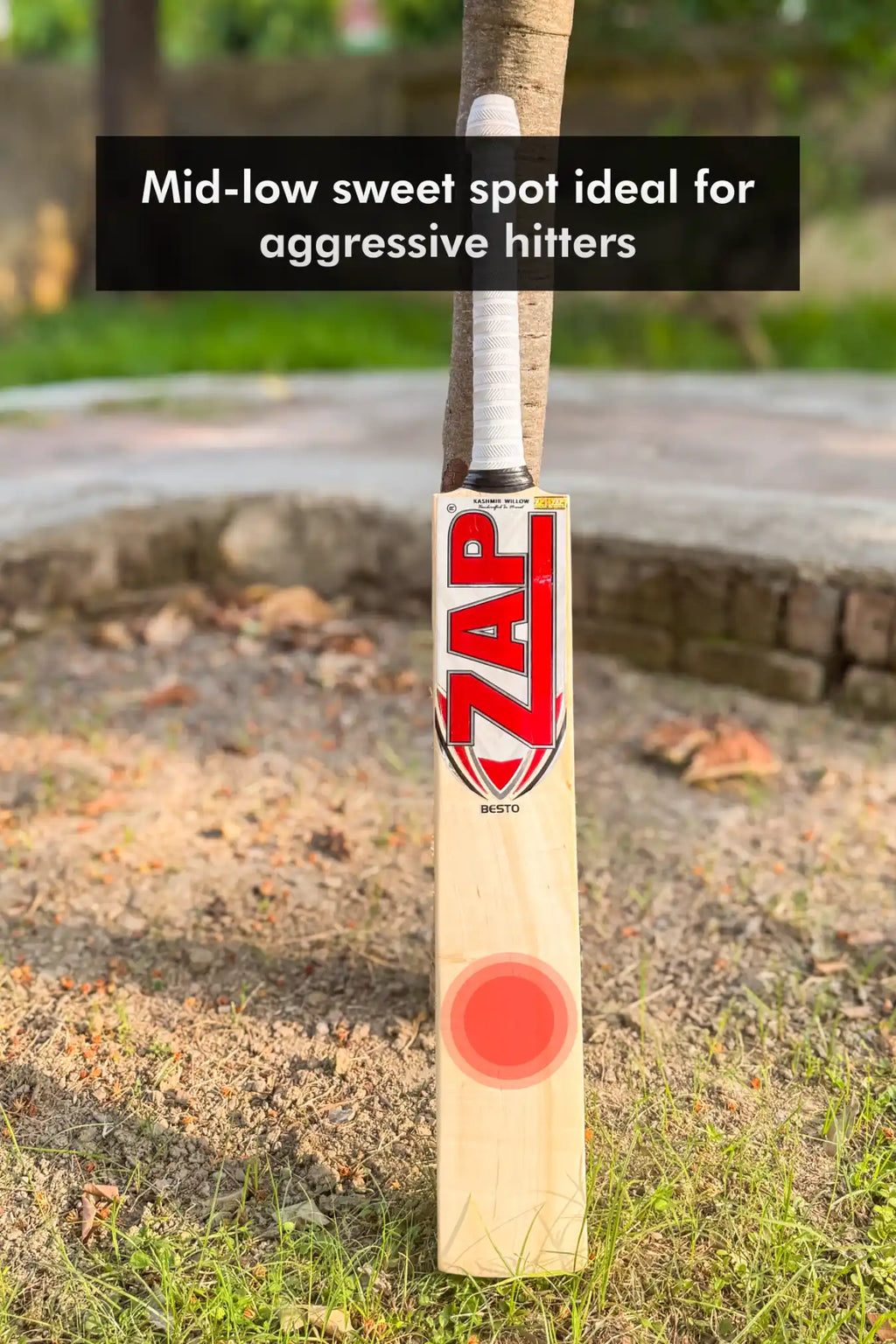 ZAP Besto Kashmir Willow Bat