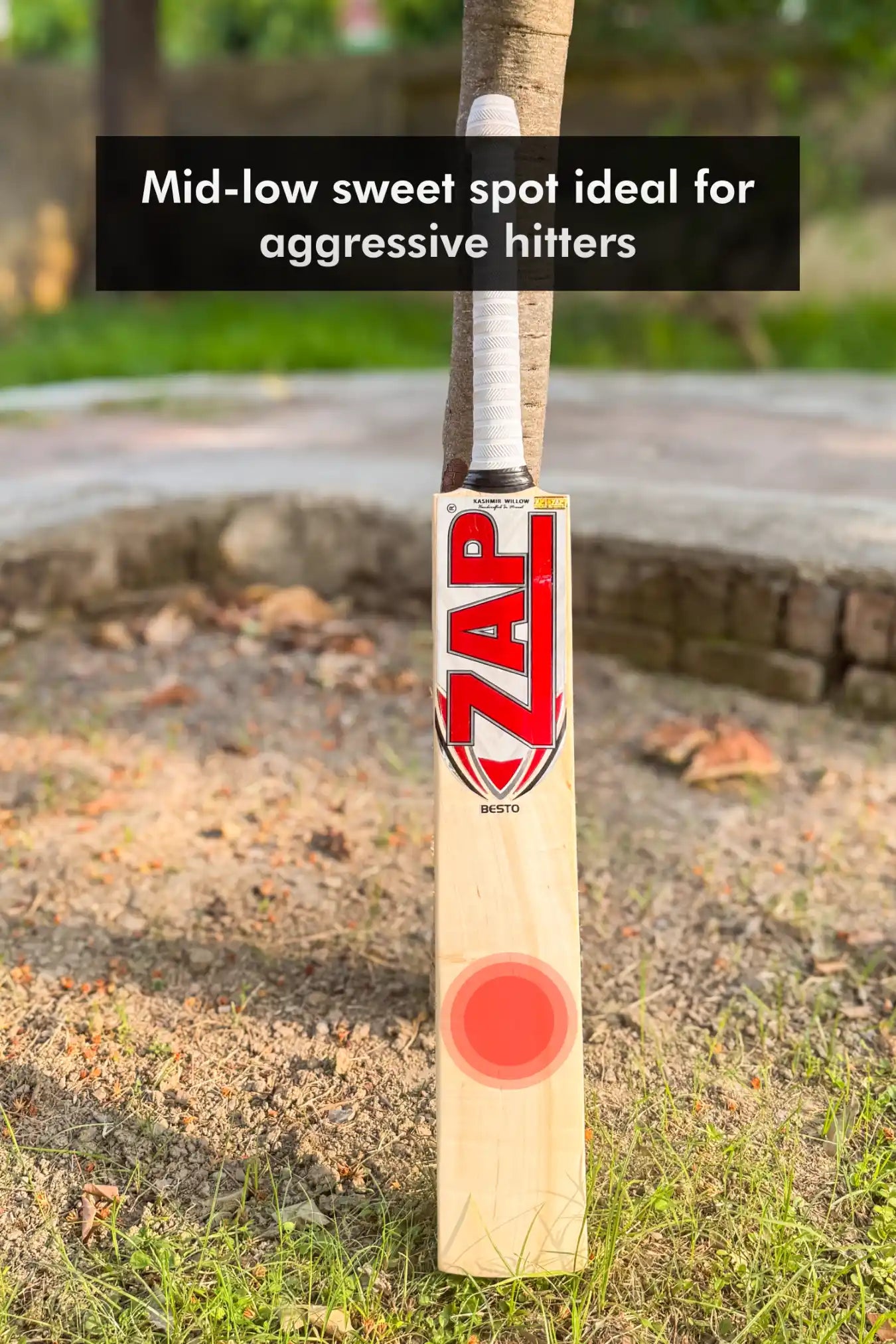 ZAP Besto Kashmir Willow Bat