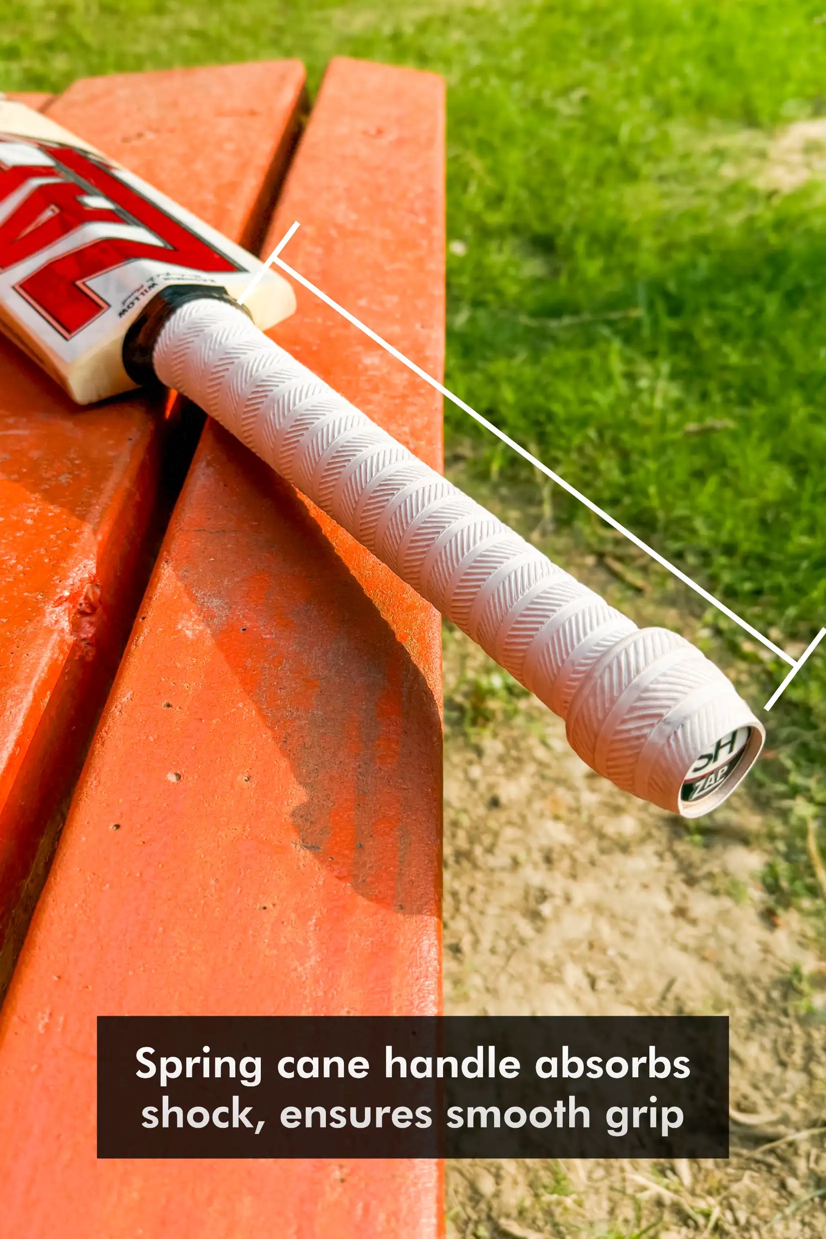 ZAP Besto Kashmir Willow Bat