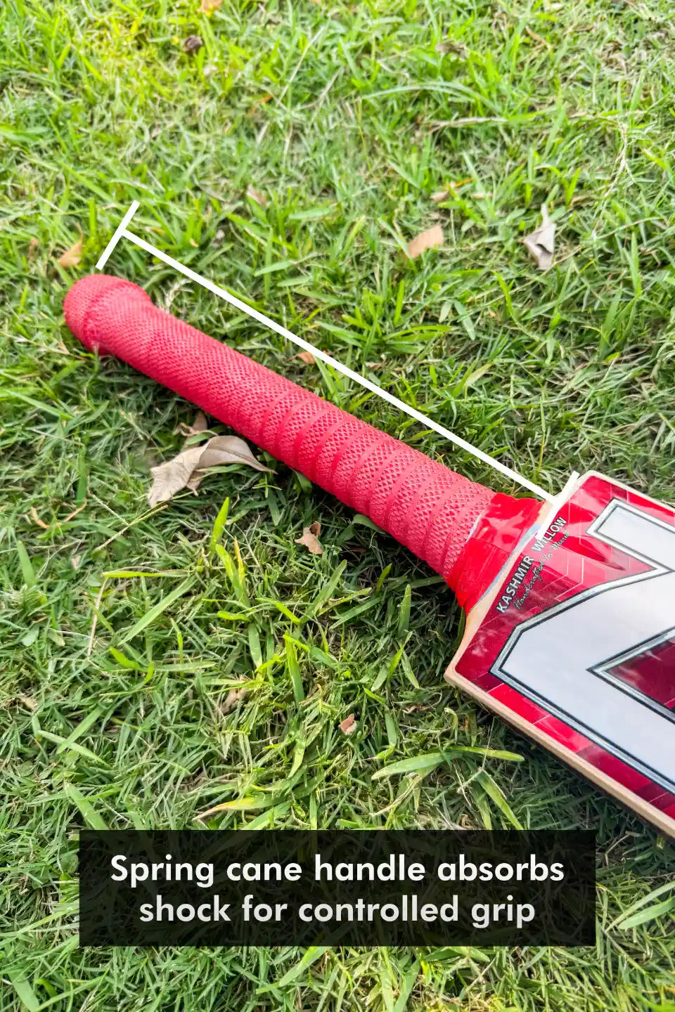 ZAP Drive Kashmir Willow Bat