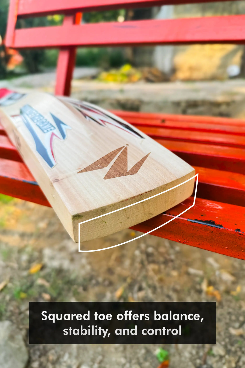 ZAP Drive Kashmir Willow Bat