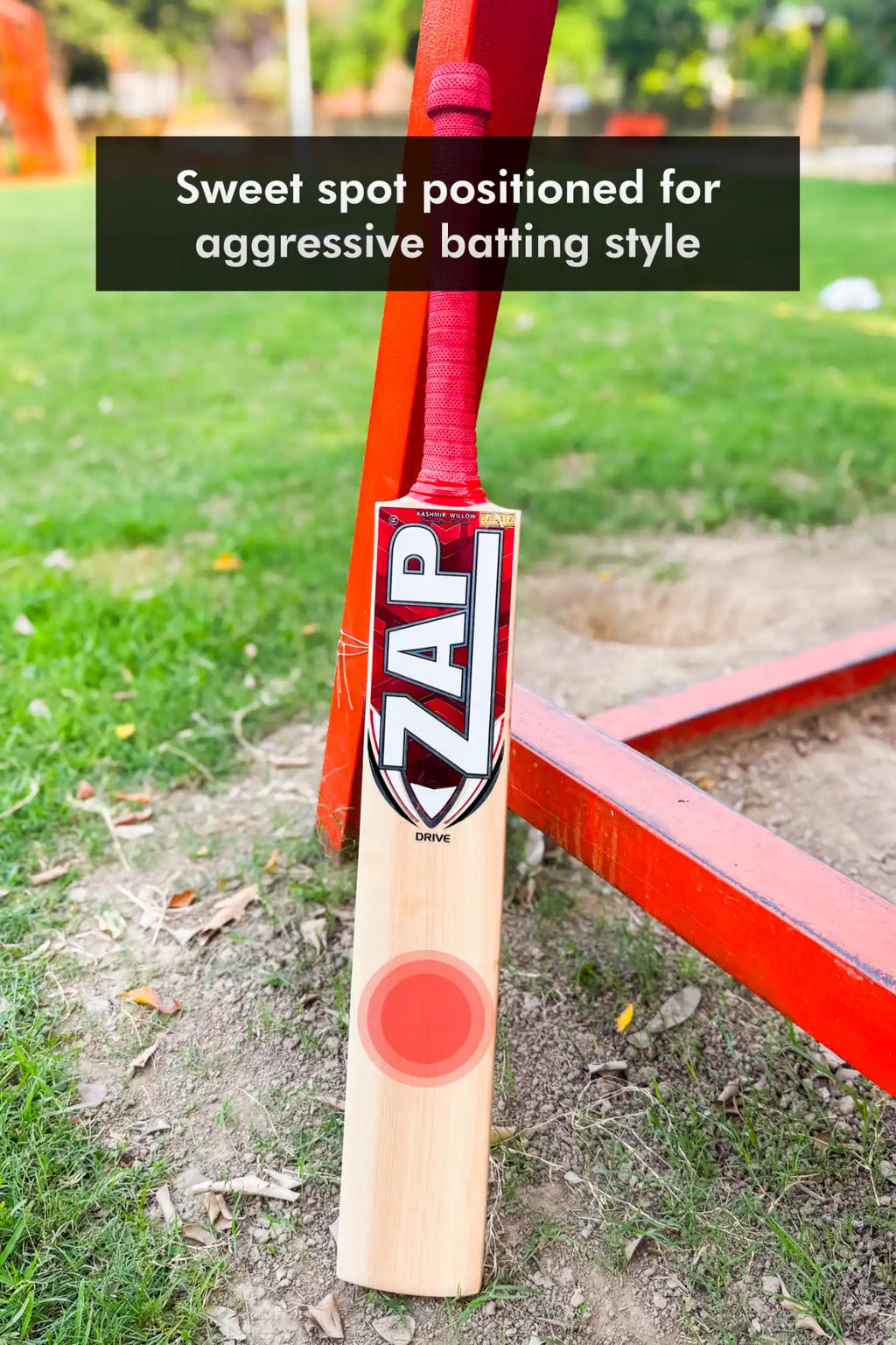 ZAP Drive Kashmir Willow Bat