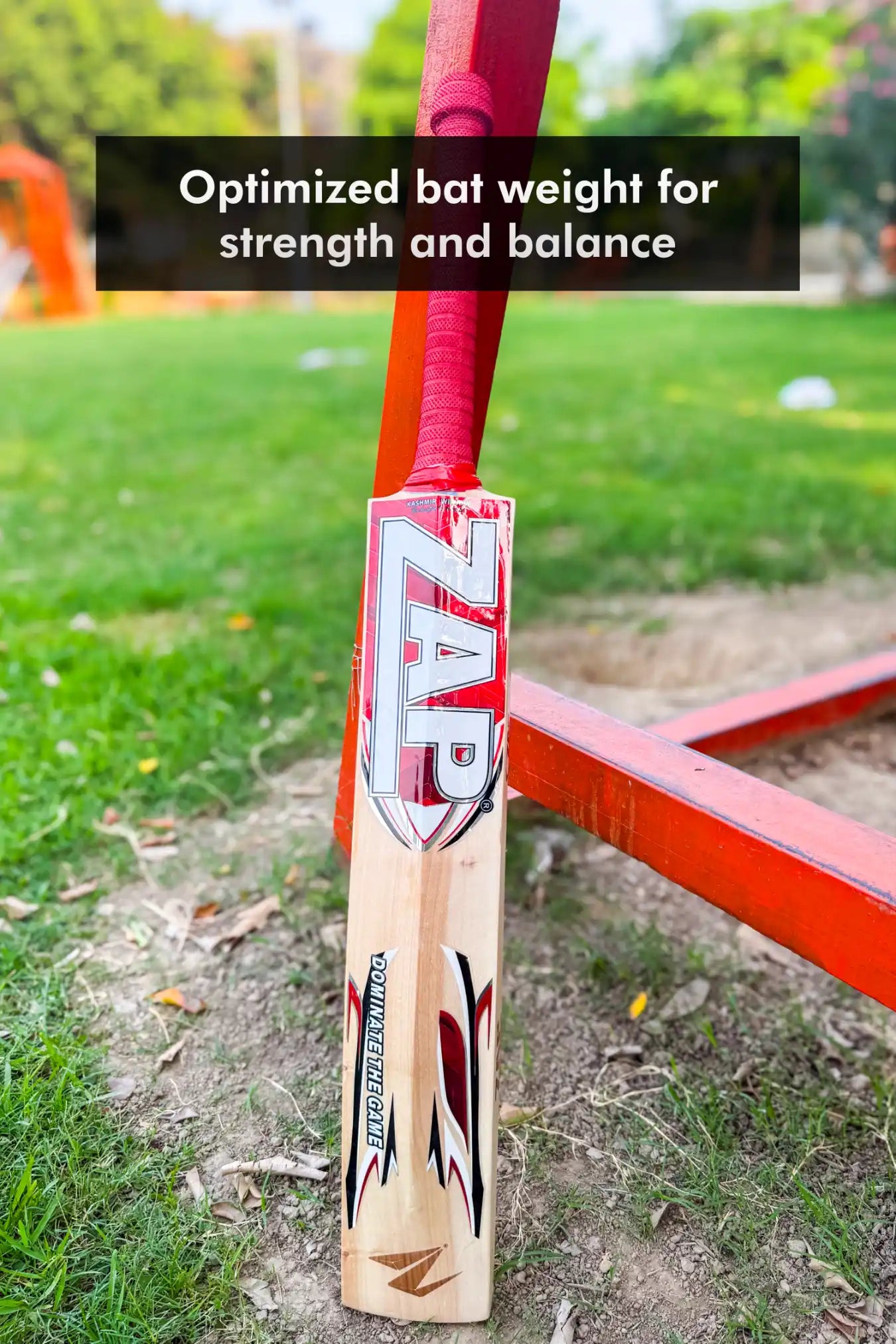 ZAP Drive Kashmir Willow Bat
