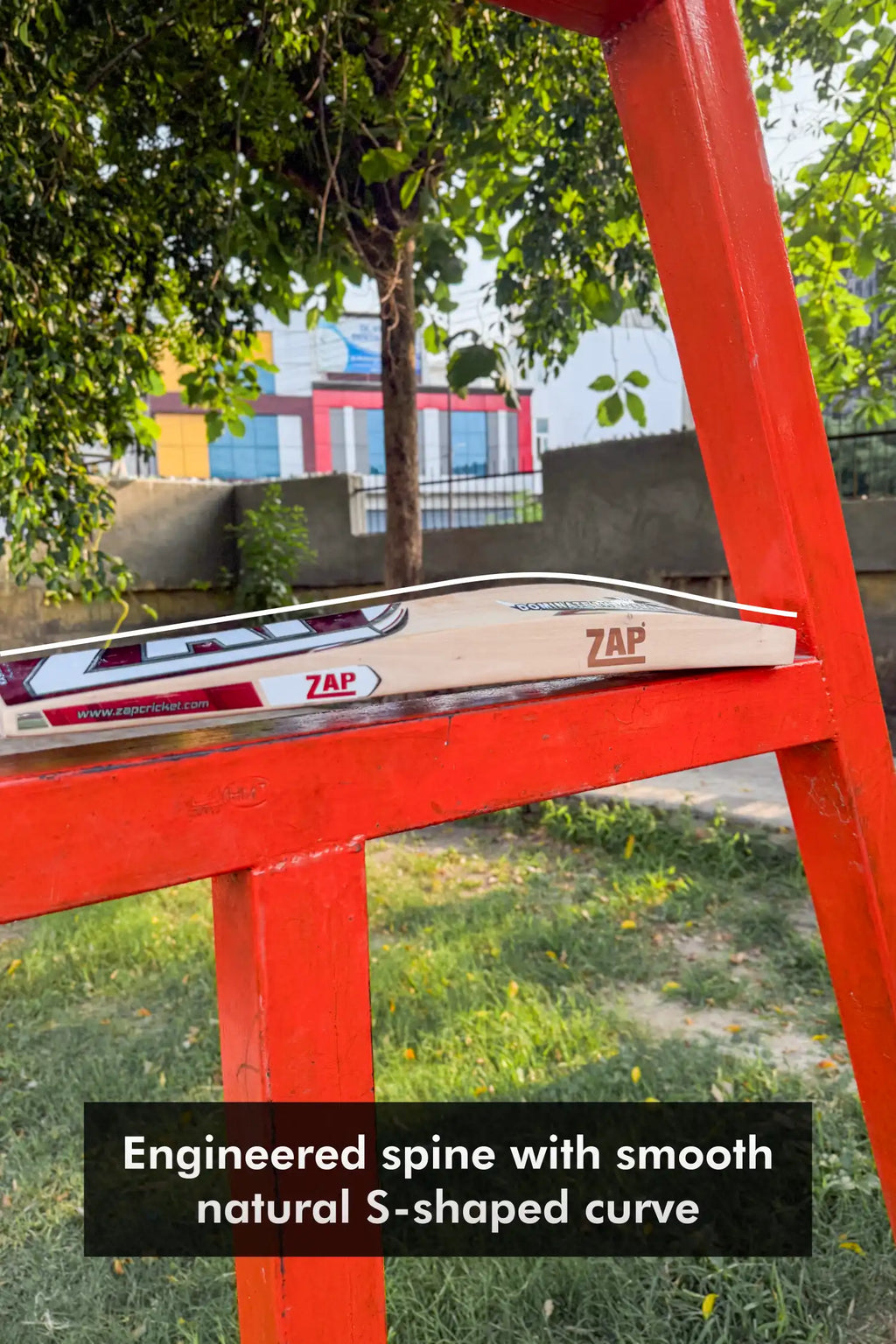 ZAP Drive Kashmir Willow Bat