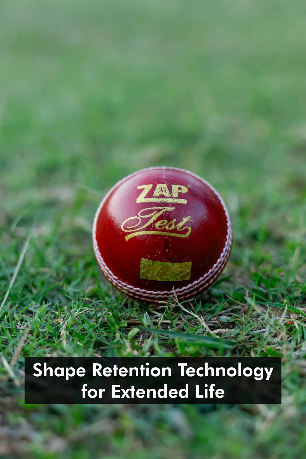 ZAP Test Cricket Leather Ball