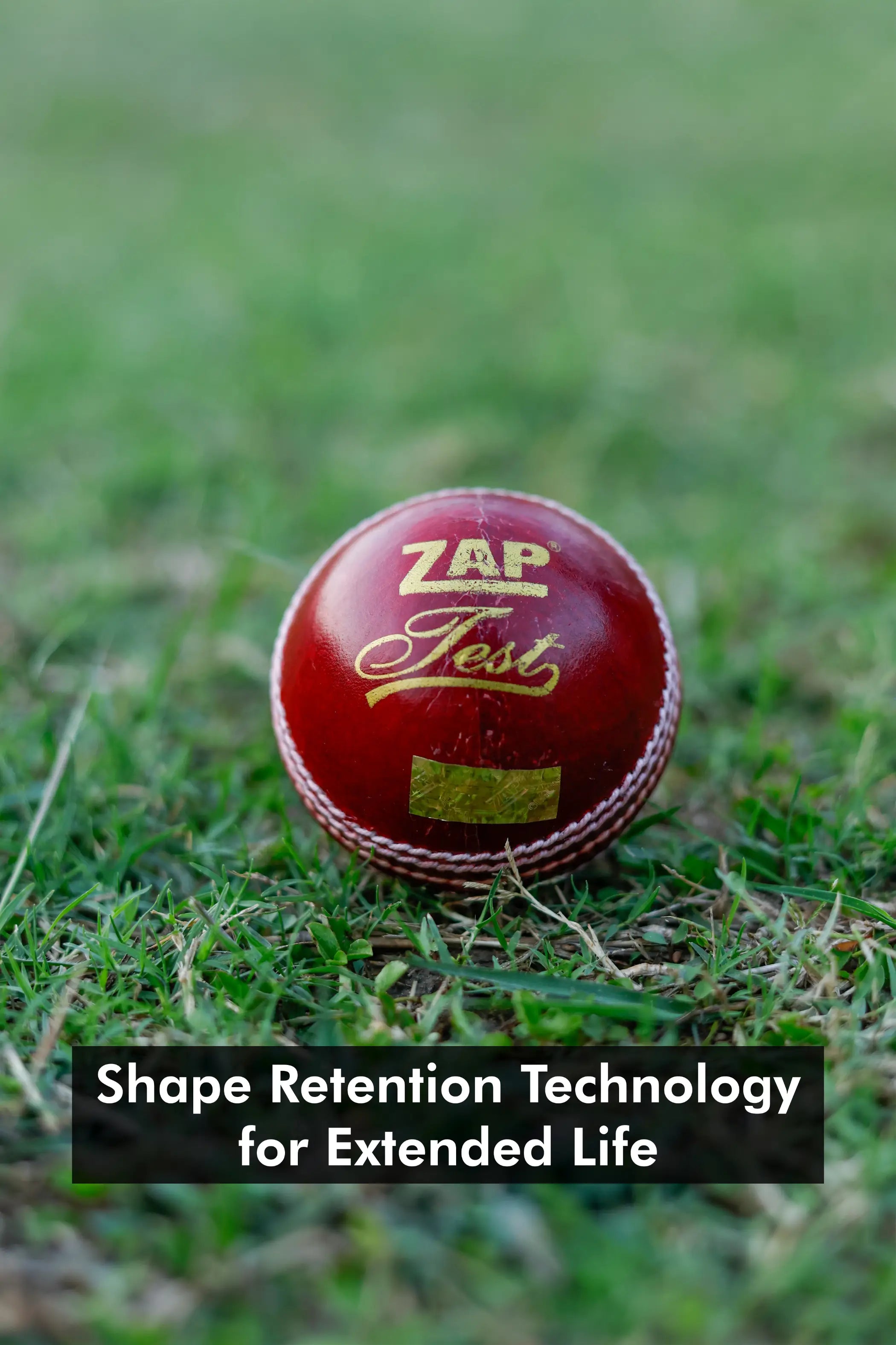 ZAP Test Cricket Leather Ball