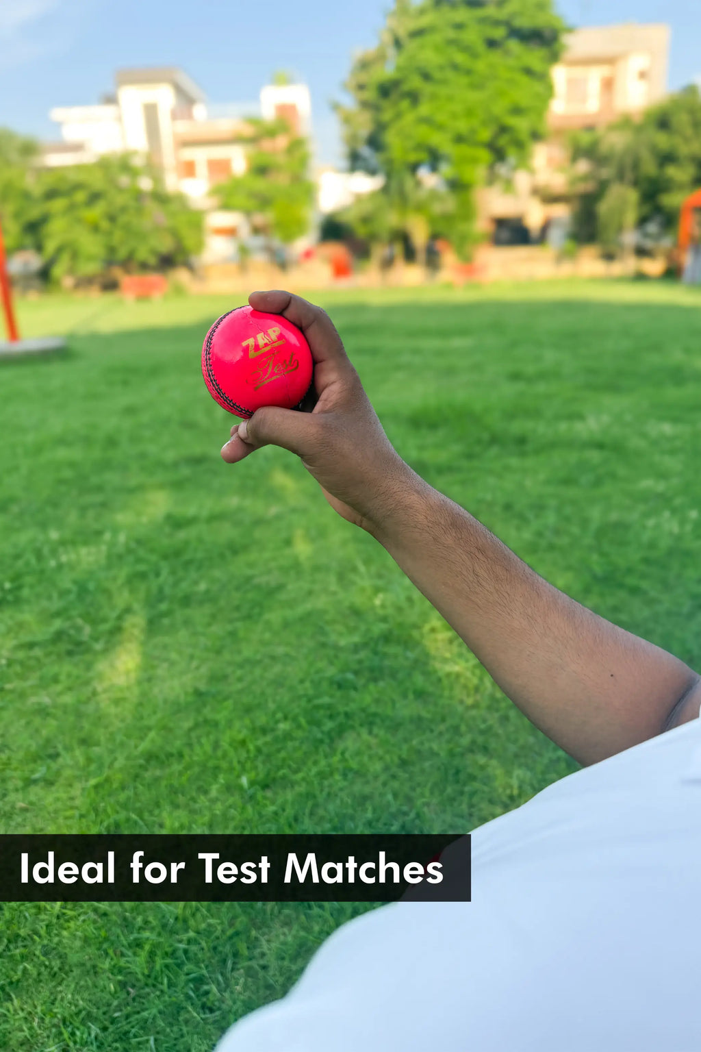 ZAP Test Cricket Leather Ball