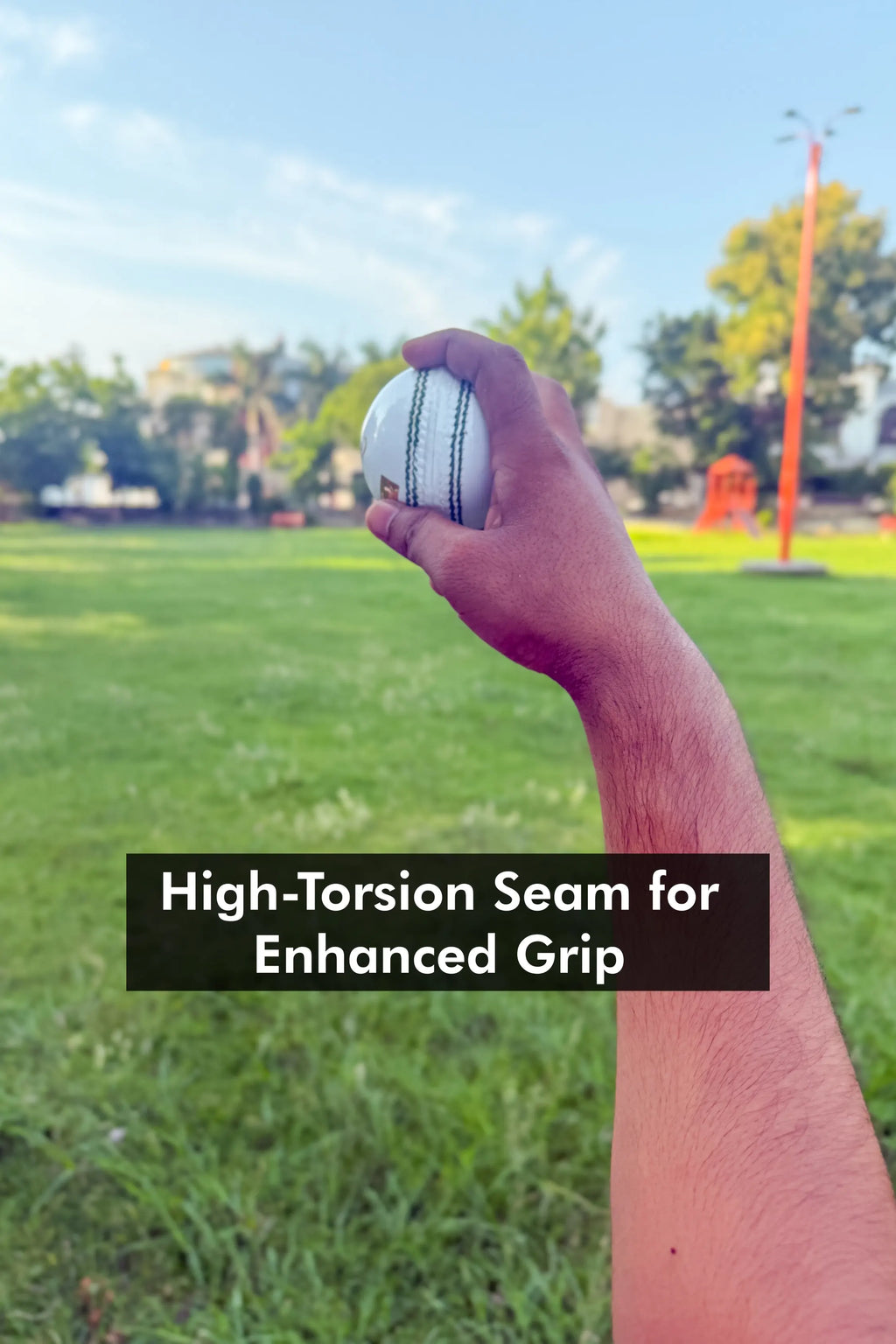 ZAP Test Cricket Leather Ball