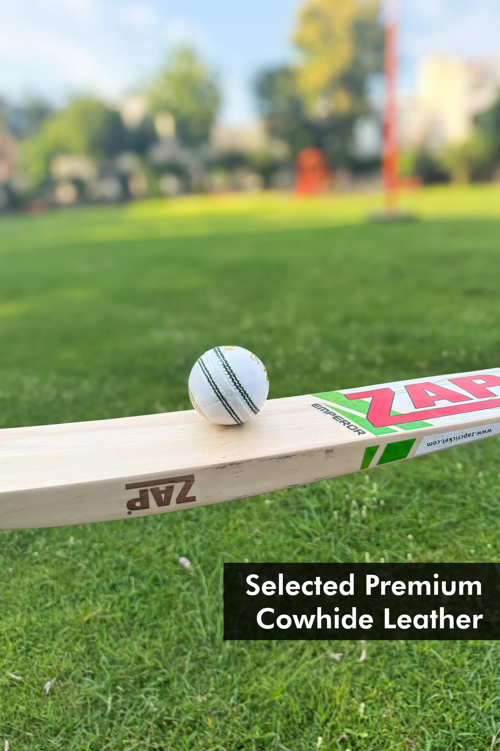 ZAP Test Cricket Leather Ball