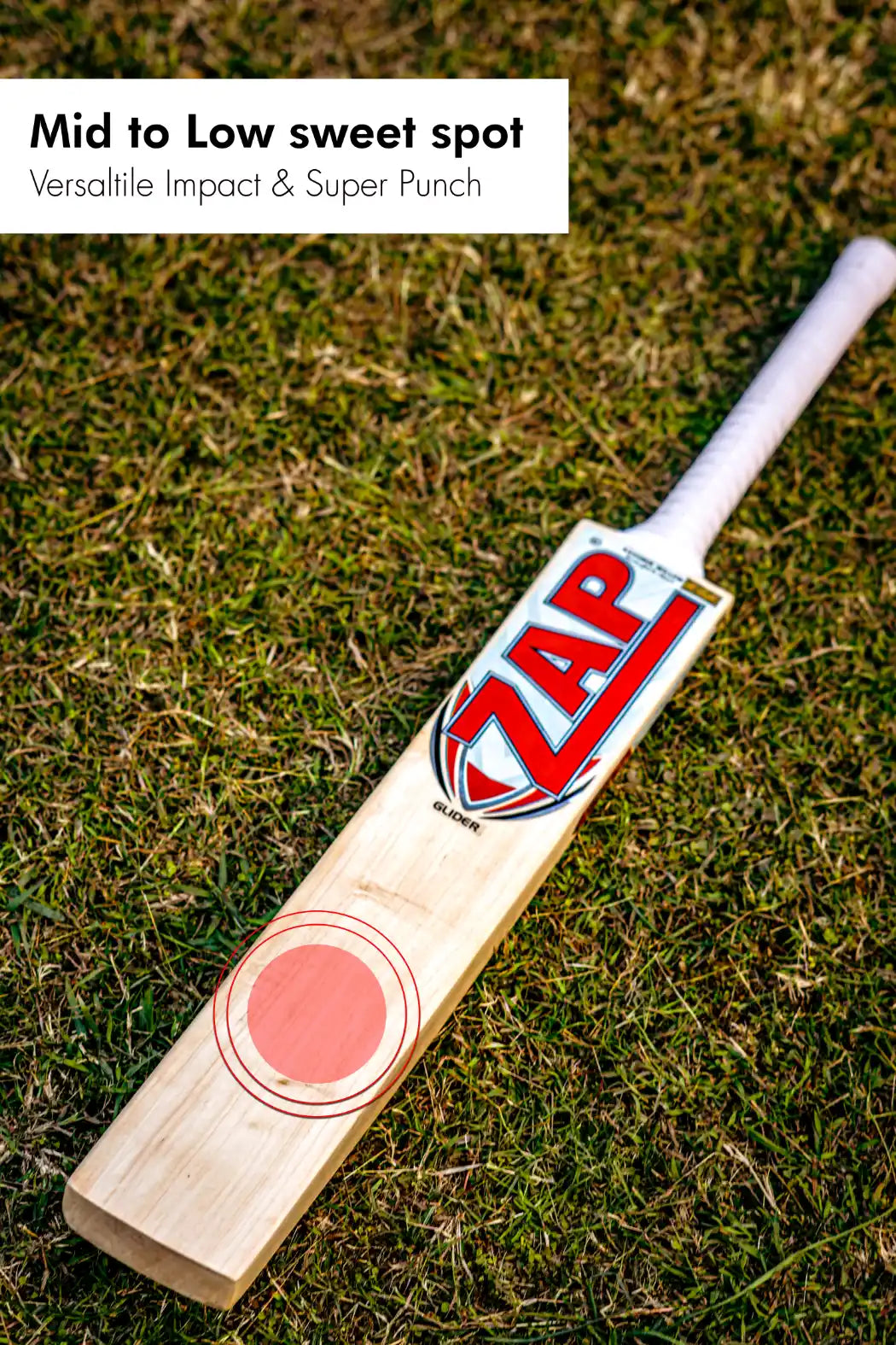 ZAP Glider Kashmir Willow Bat