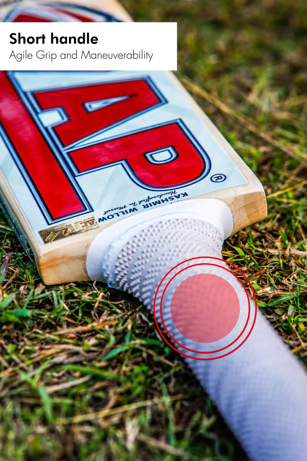 ZAP Glider Kashmir Willow Bat