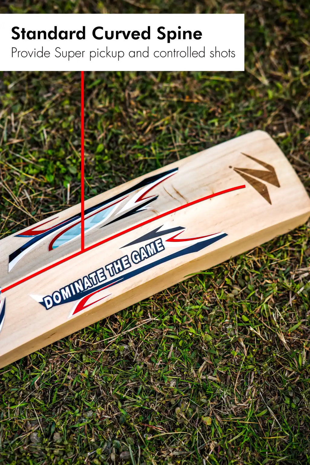 ZAP Glider Kashmir Willow Bat