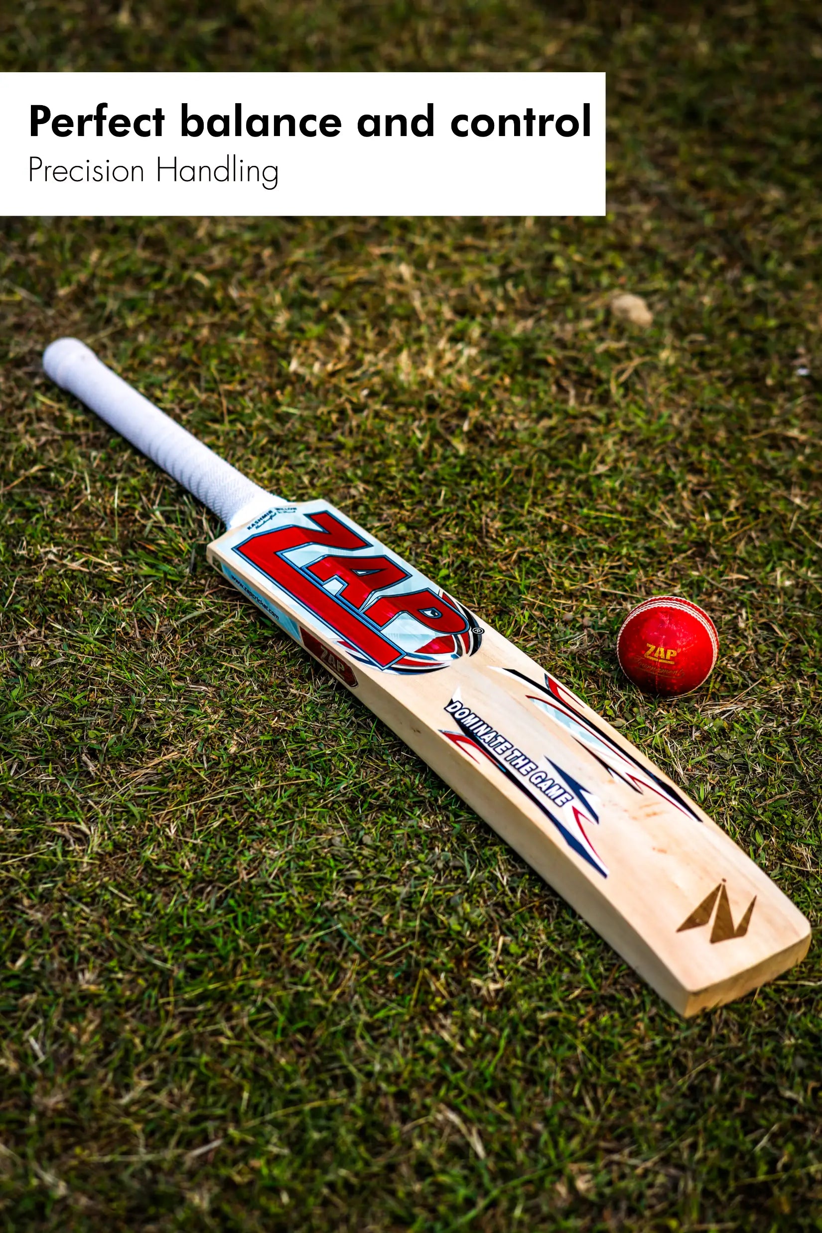 ZAP Glider Kashmir Willow Bat