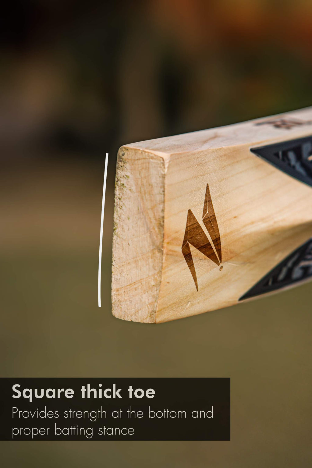 ZAP Instinct Kashmir Willow Bat