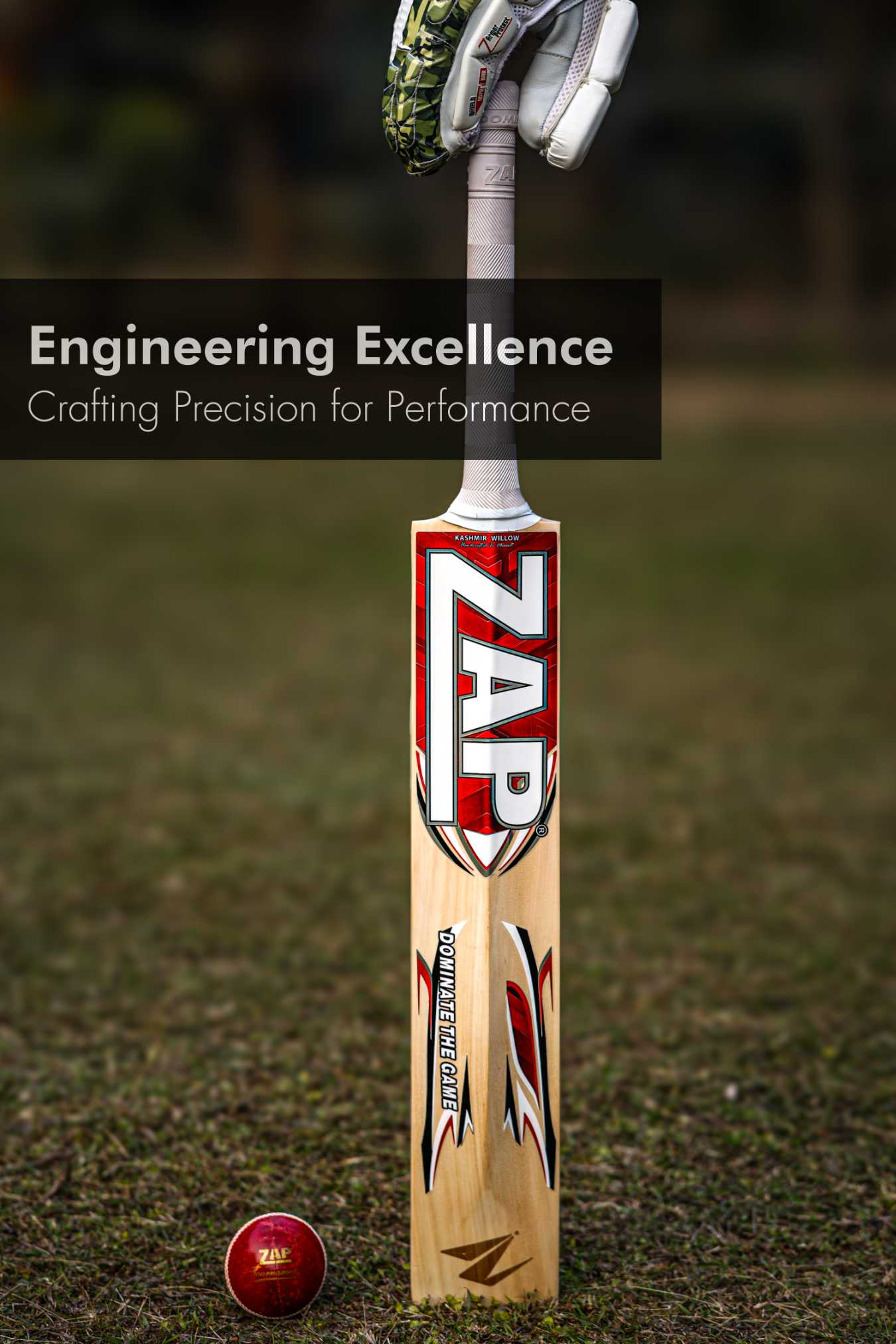 ZAP Instinct Kashmir Willow Bat