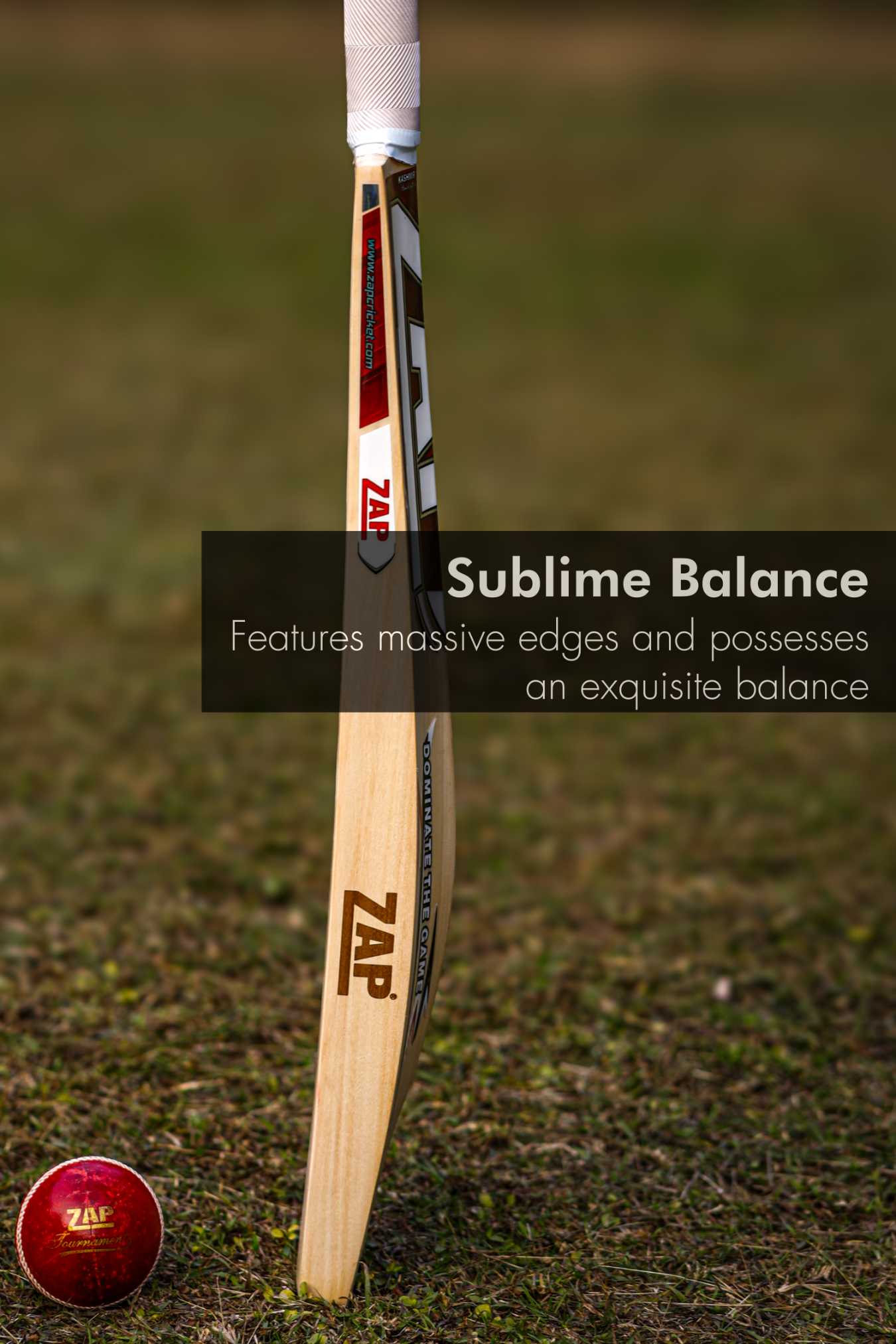 ZAP Instinct Kashmir Willow Bat