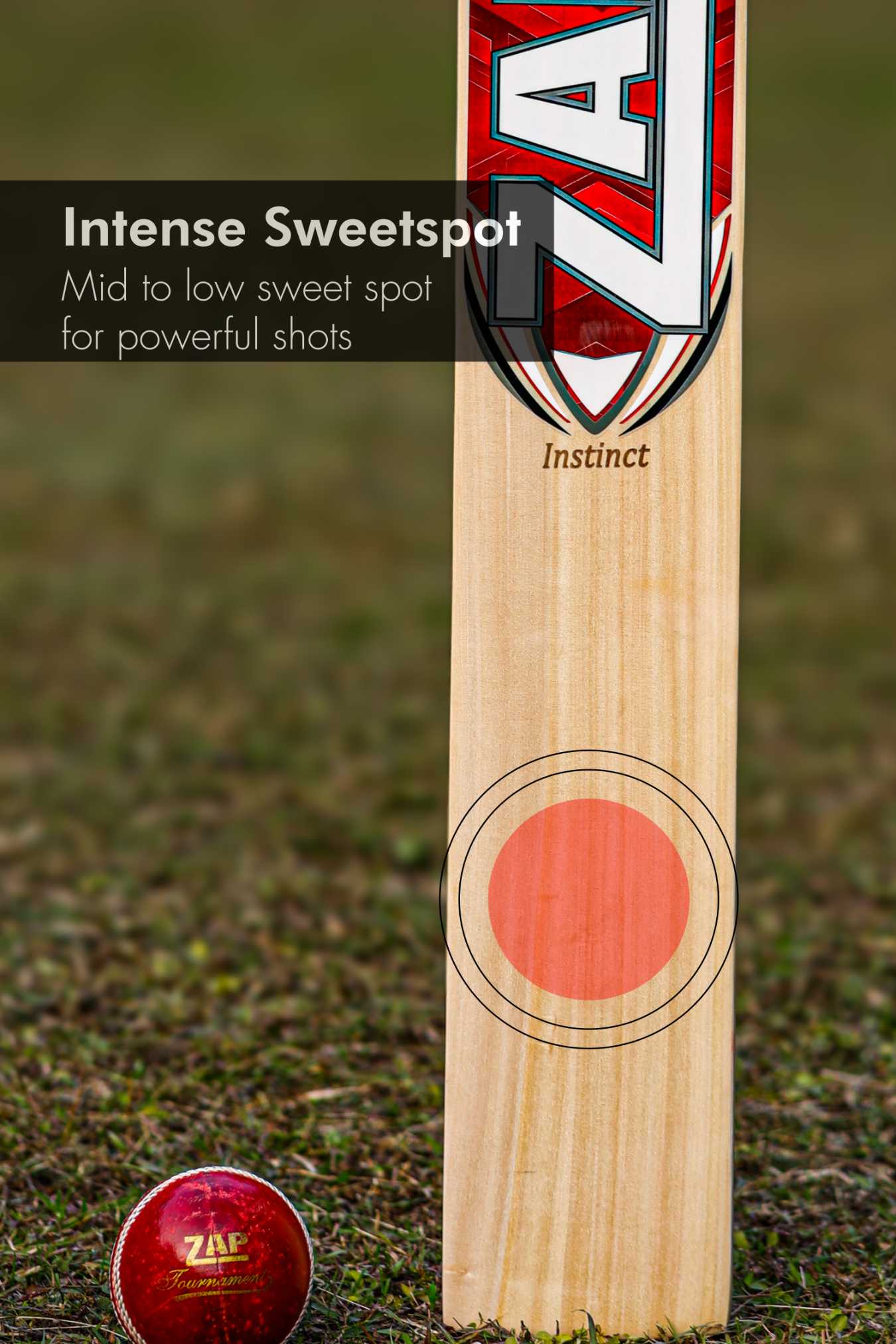 ZAP Instinct Kashmir Willow Bat
