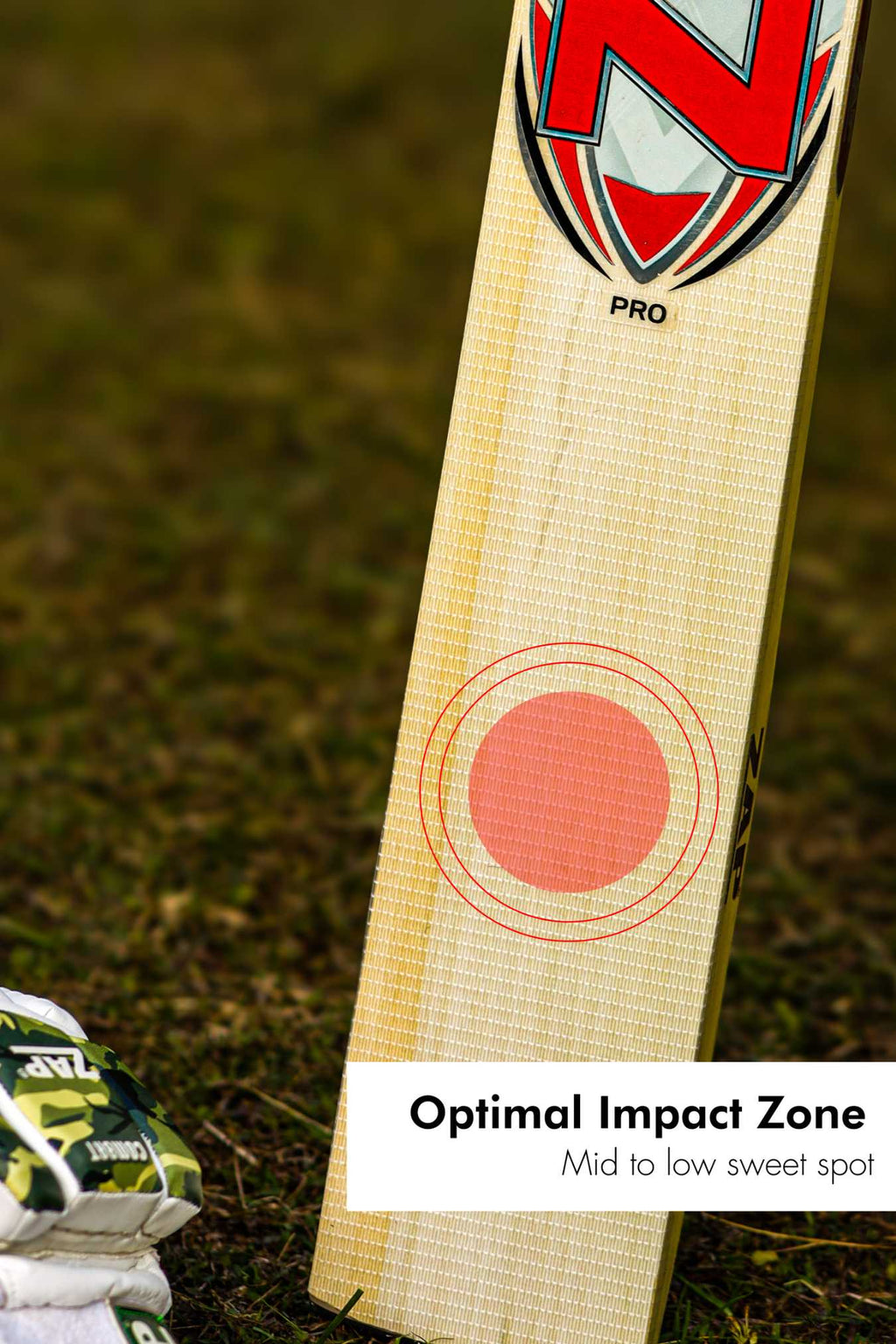 ZAP Pro Kashmir Willow Bat