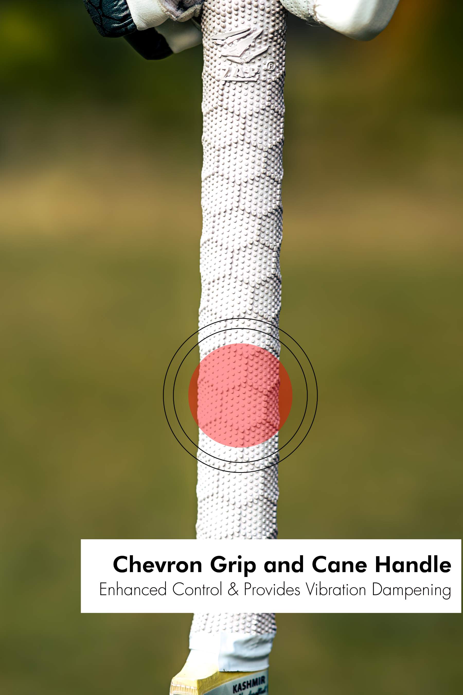 ZAP Pro Kashmir Willow Bat