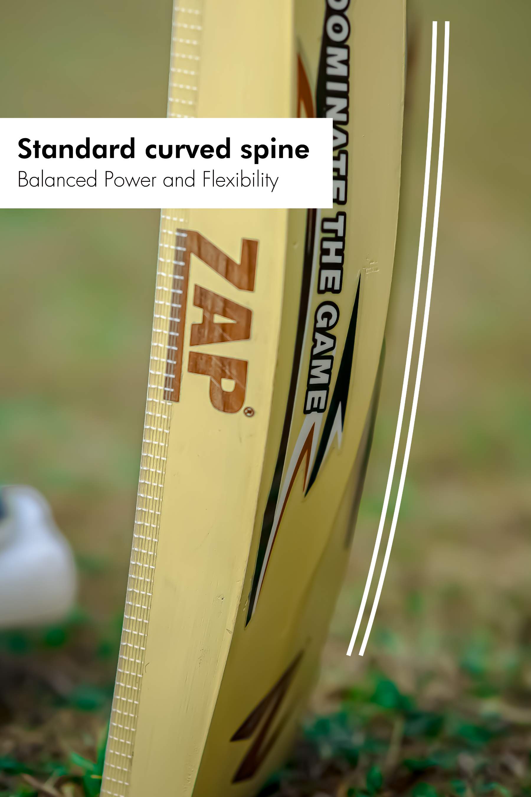 ZAP Pro Kashmir Willow Bat