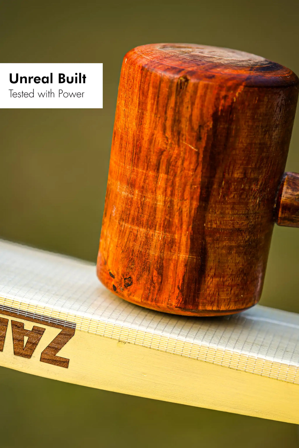 ZAP Pro Kashmir Willow Bat