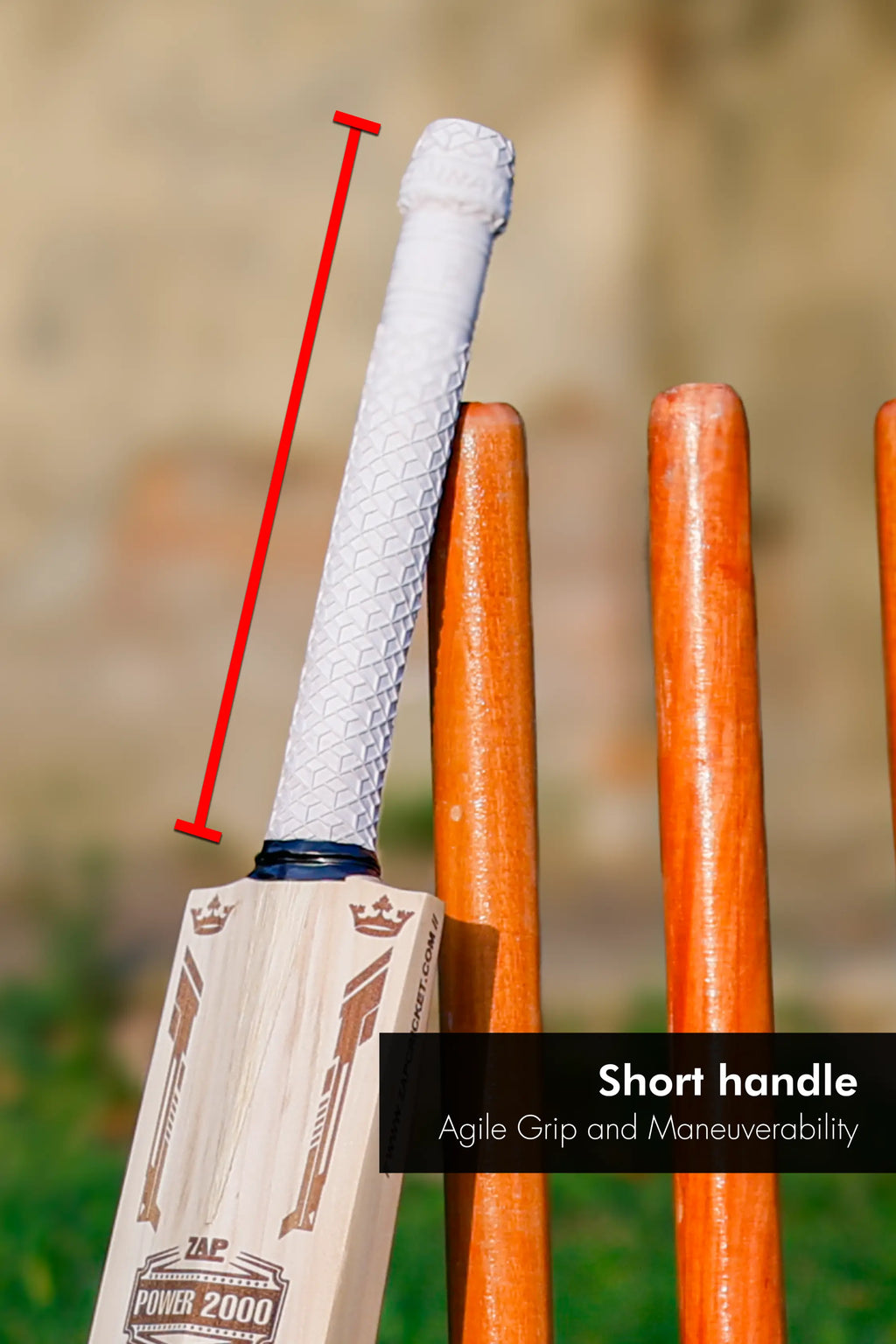 ZAP Signature Power 2000 Premium Willow Bat